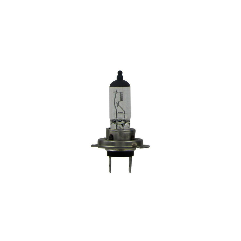  AMPOULE H7 12V 55W - 725093