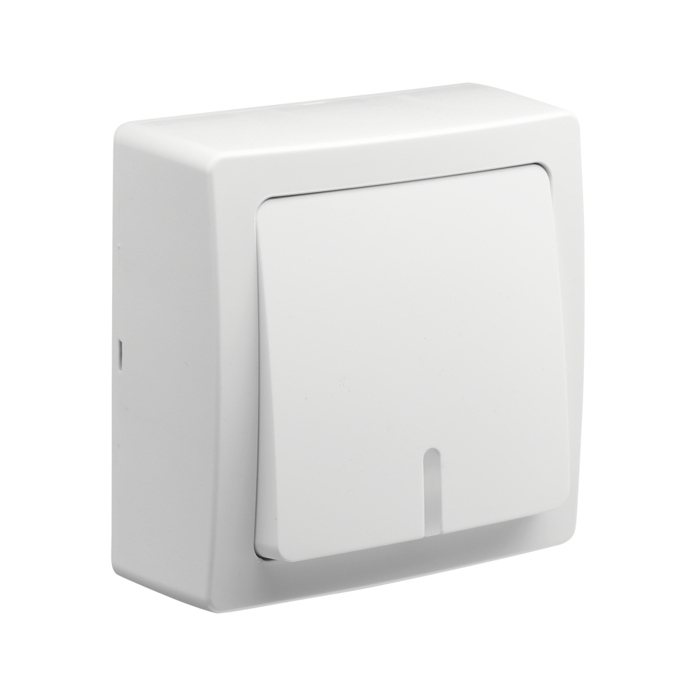 BLOK POUSSOIR LUMINEUX OU TEMOIN BLANC - DEBFLEX - 746804