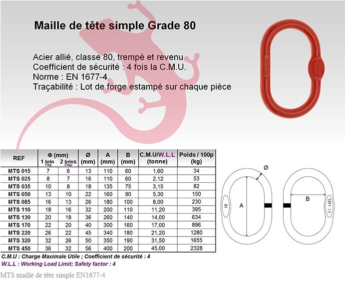 MAILLE TETE SIMPLE