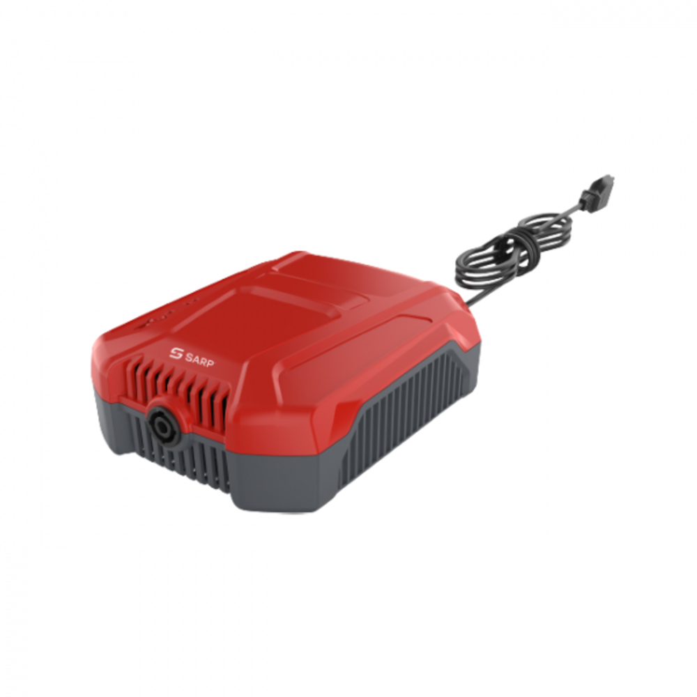 Chargeur PLUG-IN – 60 V - SARP - CHBP60