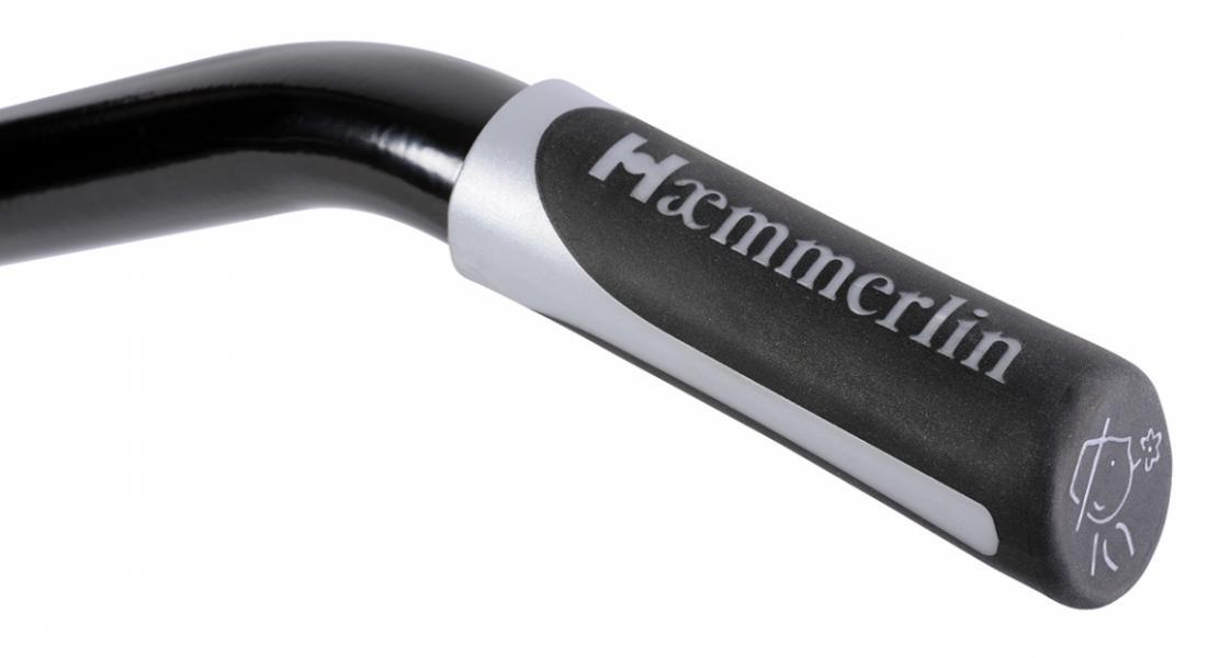 BROUETTE HAEMMERLIN EXPERT 100 PEINTE ROUE INCREVABLE M5 - 305013901