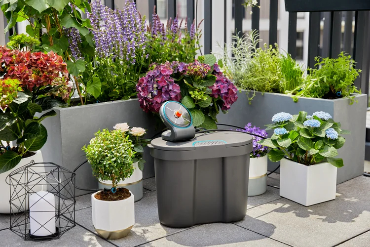 Solution d'arrosage automatique solaire AquaBloom avec réserve d'eau - GARDENA - 13301-20
