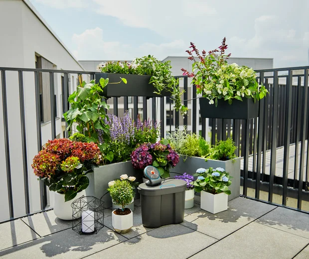 Solution d'arrosage automatique solaire AquaBloom avec réserve d'eau - GARDENA - 13301-20