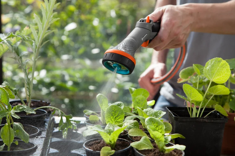 Pistolet-arrosoir pour plantes sensibles Comfort - GARDENA - 18321-20