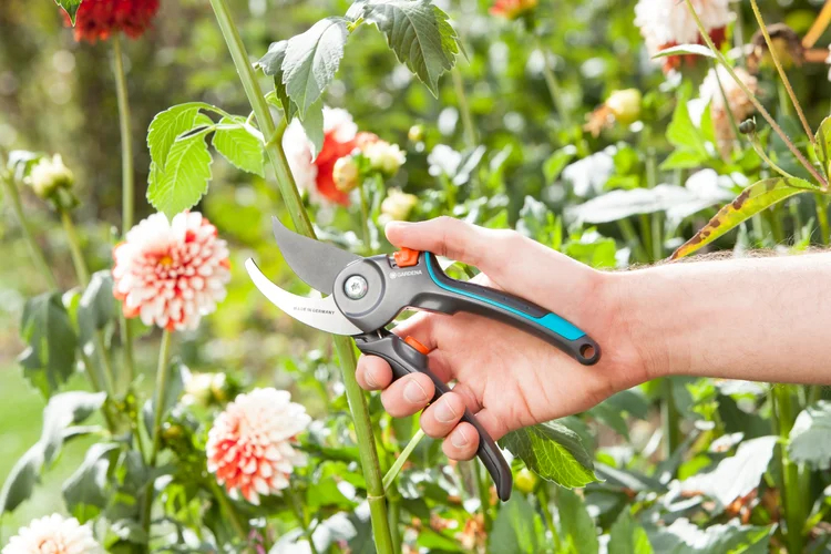 Sécateur à lame franche Comfort B/M - GARDENA - 8904-20