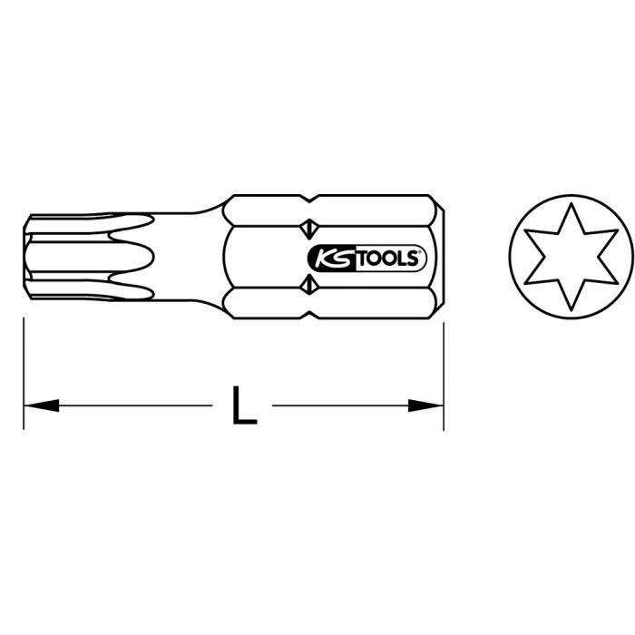 Boite de 5 embouts de vissage INOX TORX® 1/4