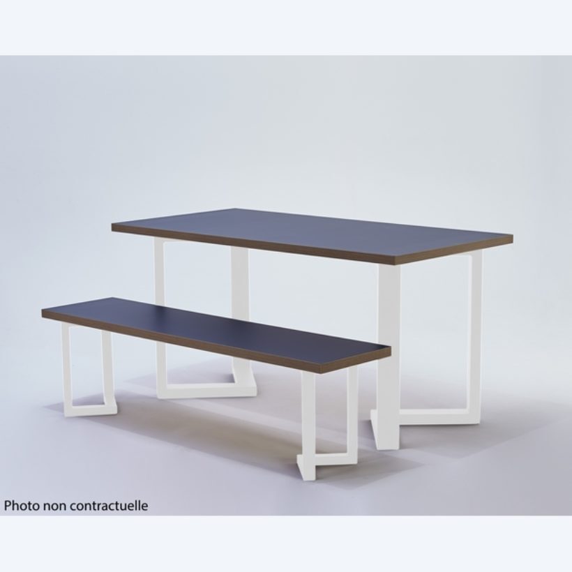 Pied de banc Triangle L30 x l18 x HT40 cm blanc mat - MOTTEZ - M515VBC