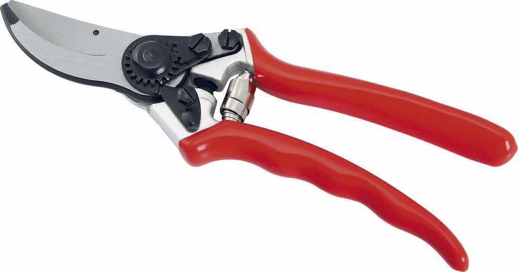 Secateur 21cm corps aluminium DRAKKAR TOOLS - 03455