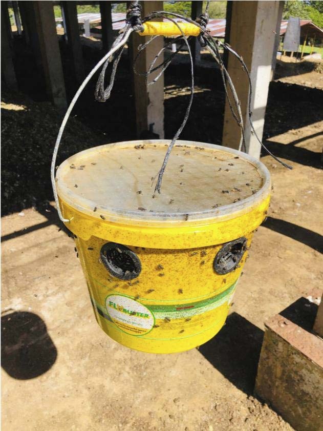 Piège à mouches flybuster avec seau de 10l et activateur ZAPI FARM - 60135