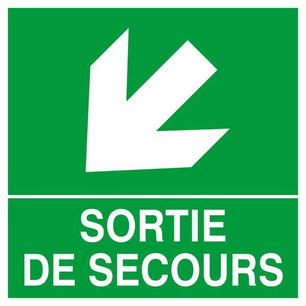 PANNEAU SORTIE DE SECOURS FLECHE EN BAS A GAUCHE 200X200MM TALIAPLAST - 628413