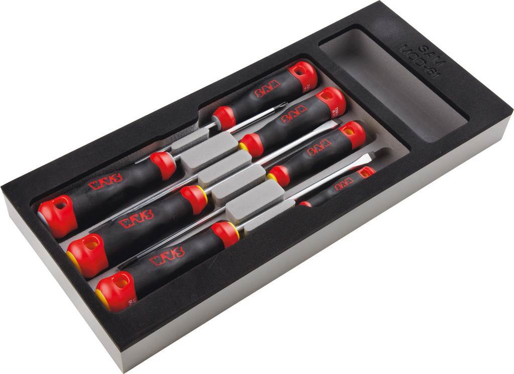 MODULE MOUSSE 7 TOURNEVIS FENTE ET POZIDRIV SAM OUTILLAGE - TPZJ7MM