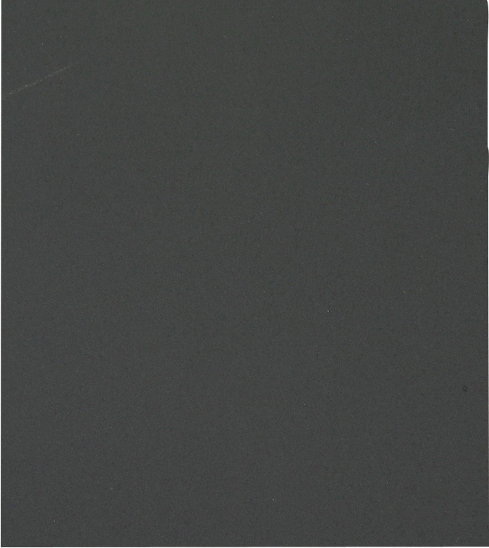 Feuilles Abrasives IMPERMEABLE -230x280mm (Vrac) / Dim 230x280 / Gr : 1200 TIVOLY - XT10134013135