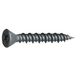 1000 VIS BD FELS 3,9 X 19 PHOSPHATÉE - PH2 - ASLAFIX - 10939019
