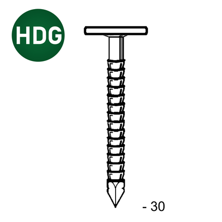 POINTE TEL ANNELÉE HDG 3,1 X 30 MM - ASLAFIX - TL310306
