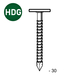 POINTE TEL ANNELÉE HDG 3,1 X 30 MM - ASLAFIX - TL310306