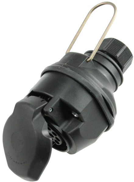 Prise AS SCHWABE - 60466