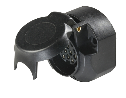 Prise AS SCHWABE - 61474