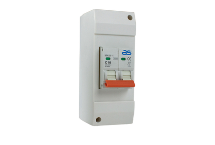 Disjoncteur C10A AS SCHWABE - 61564