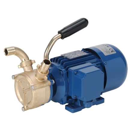 Pompe à anneau liquide en bronze pour tuyau ∅25 mm 230V Mono - ALGI EQUIPEMENT - 07901101