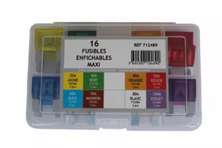 Coffret 16 fusibles maxi enfichables BUISARD - 712489