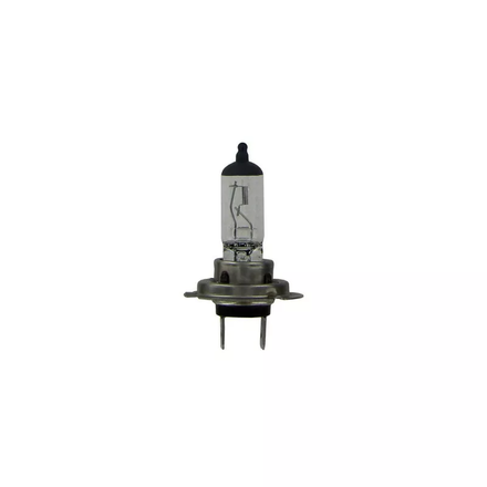  AMPOULE H7 12V 55W - 725093