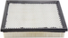 Filtre A Air BALDWIN PA4386 - Equivalent SA 6055 HIFI FILTER