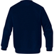 SWEAT MOLLETON ANTI-FEU ET ANTISTATISQUE DELTA PLUS - SWEFR2BM