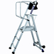 Plateforme individuelle 3 marches HT 2,70m T-REX - DUARIB - 18133