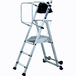 Plateforme individuelle 3 marches HT 2,70m T-REX - DUARIB - 18133