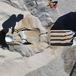 Option pelle machine à chape X-SCREED D60 - EUROMAIR - 40106