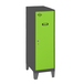 Vestiaire métallique monté 1015x300x500 - Anthracite/Vert - SIMON RACK - 8425437120589