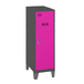 Vestiaire métallique monté 1015x400x500 - Anthracite - SIMON RACK - 8425437121456