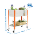 Jardinière mobile extérieure - 925x900x600 - 2 niveaux Orange/Galvanisé - SIMON RACK - 8435104987070