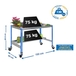 Table de jardin - 875x1500x600 - 2 niveaux Bleu - SIMON RACK - 8435104988787