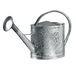 Arrosoir en acier galvanise - 13 litres, avec pomme - FORGES DE MAGNE - 388412