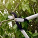 Coupe-branches PowerGear™X L à crémaillère et à lame franche LX98 FISKARS - 1020188