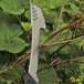 Machette hache Solid FISKARS - 1051236