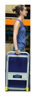 Chariot 200 kg 740 x 480 mm dossier repliable FIMM - 805007164