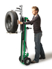 Elévateur électrique 120 kg tout terrain FIMM - 855000701