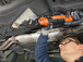 Machine oscillante - MM 700|MULTIMASTER MM 700 1.7 Q Vitrage automobile FEIN - 72297065000