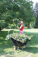 Brouette / Chariot HAEMMERLIN Grande contenance BIG GARDEN 300L -306060101