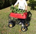 Chariot de jardin pliant 80 L HAEMMERLIN CIRCUS GARDEN - 320062101