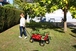 Chariot de jardin pliant 80 L HAEMMERLIN CIRCUS GARDEN - 320062101