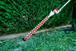 Accessoire pour Taille-haie MA-HS 50 - METABO - 601726850