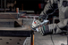 Meuleuse 125 mm W 11-125 Quick - METABO - 603623000