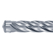 Foret SDS-Plus 22x450 mm - HIKOKI - 783280