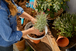 ClickUp! Pot de fleurs - GARDENA - 11320-20