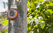 Minuterie d'arrosage - GARDENA - 1169-20