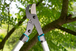 Coupe-branches EnergyCut 750 B - GARDENA - 12007-20