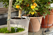 Arrosage automatique de vacances - GARDENA - 1265-20